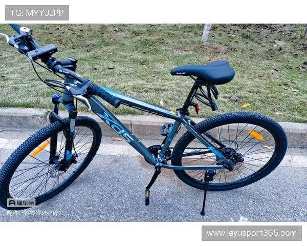 小轮车销量增长,喜德盛称骑行人群扩大带动产业